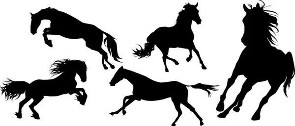 Vier zwarte paard — Stockfoto