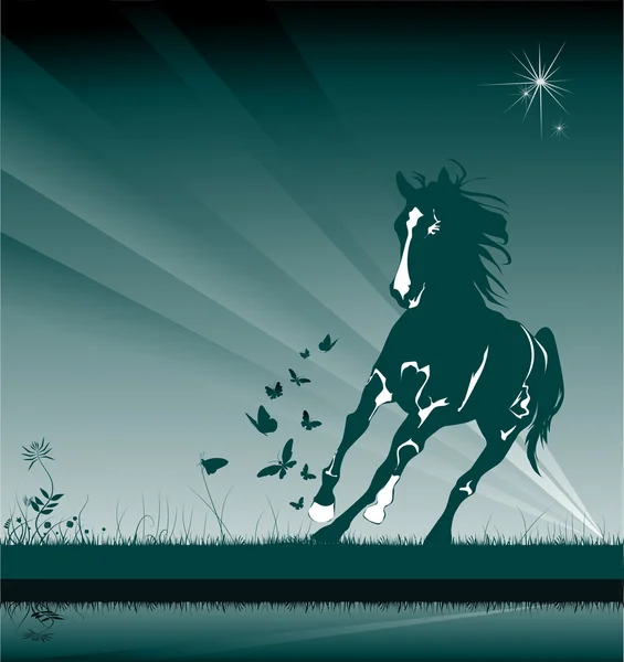 Paard in het vak nacht — Stockfoto
