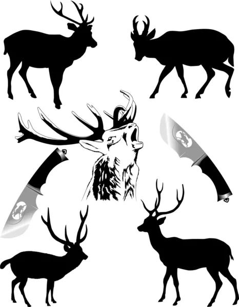 Deers new — Stock Vector