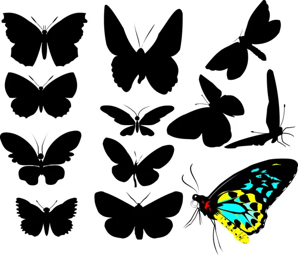 Papillons — Image vectorielle