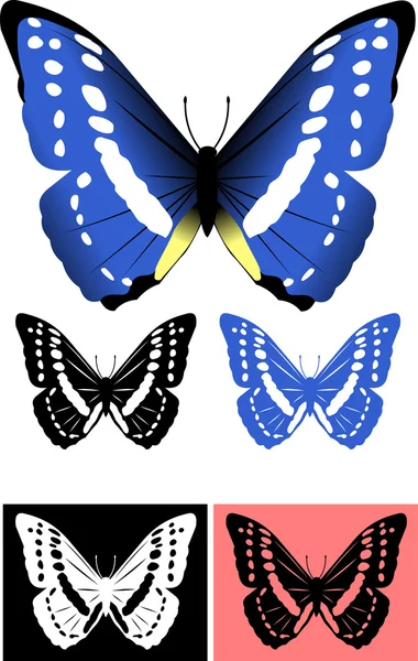 蝶のベスト — ストックベクタ