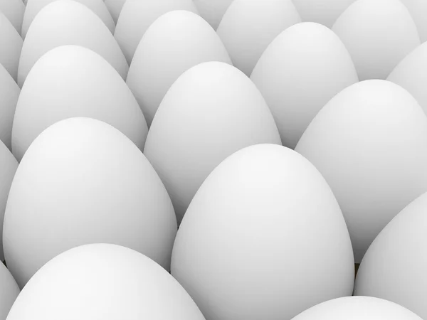 ไข่ขาว — ภาพถ่ายสต็อก