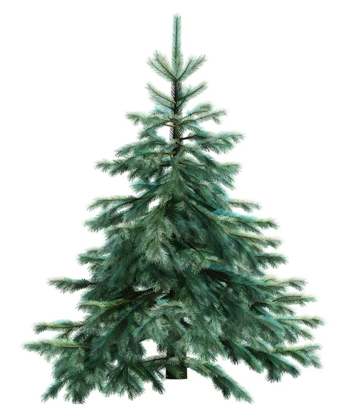 Fir-tree isolated on white — Stock Photo, Image