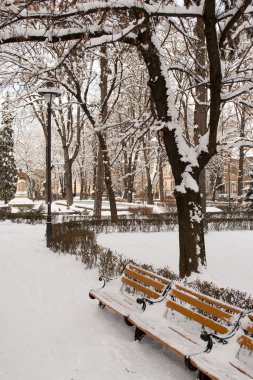 Kışın şehir parkı