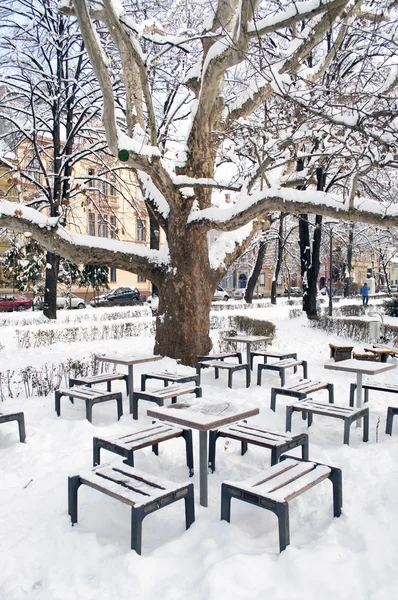 Winterschnee Park Mit Stühlen Und Tischen Unter Alten Platanen — Stockfoto