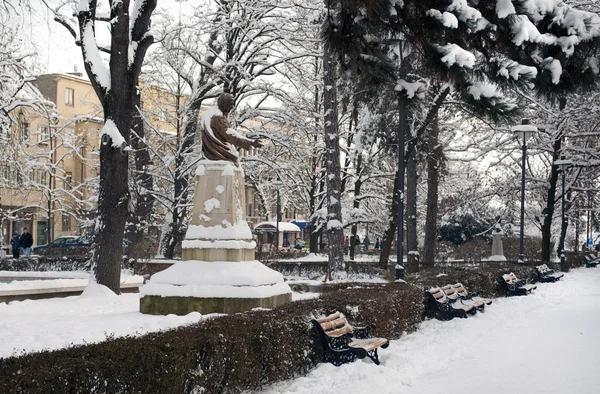 在与多雪的冬天的城市公园 — 图库照片