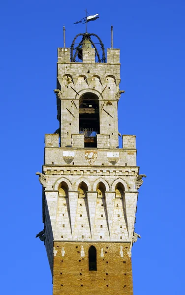 Torre del Mangia à Sienne — Photo