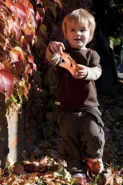 Menino brincando com folhas de outono — Fotografia de Stock