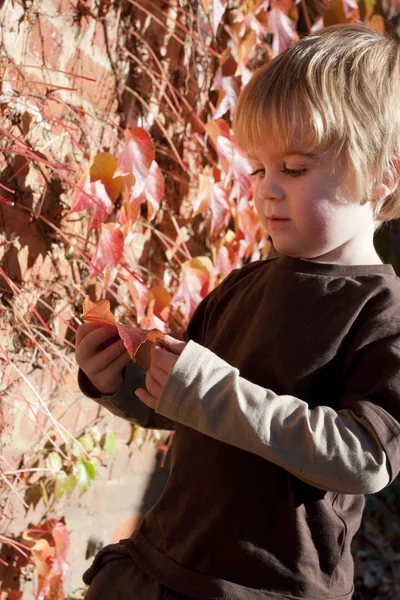 Petit garçon jouant avec les feuilles d'automne — Photo