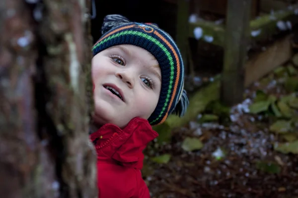 岁可爱的孩子从树后将冬季帽子偷窥穿 — 图库照片