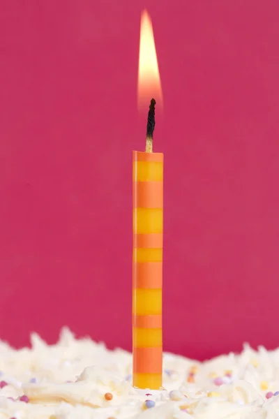 Single candle on a cake — Stock Photo, Image