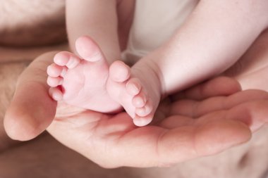 New born baby childs feet in fathers hands clipart