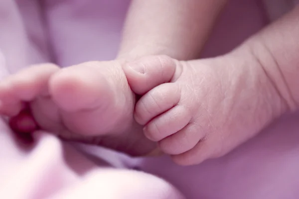 Füße neugeborener Babys — Stockfoto