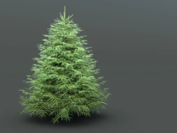 Kerstboom op grijze achtergrond — Stockfoto