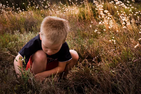 Uma Criança Pequena Natureza — Fotografia de Stock