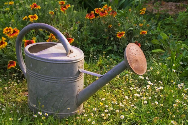 Water kan in een tuin — Stockfoto