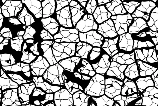Cracked Grunge Pattern — Stock Photo, Image