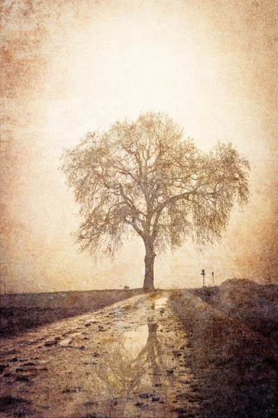 Винтажная картина дерева — стоковое фото