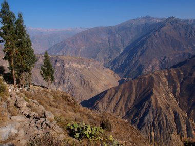 Kanyon colca