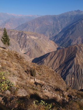 Kanyon colca