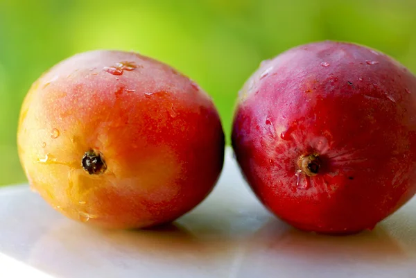Deux mangues fruits . — Photo