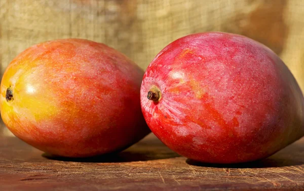 Zwei Mangofrüchte. — Stockfoto