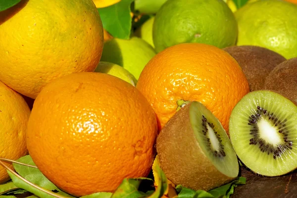キーウィや柑橘系の果物猕猴桃和柑橘类水果. — 图库照片
