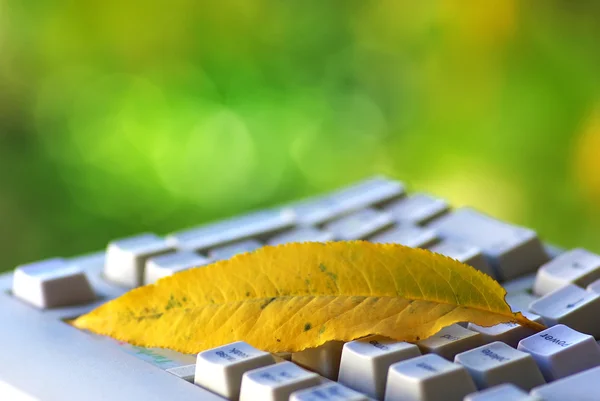Yellow leaf on keyboard. — Stock Photo, Image