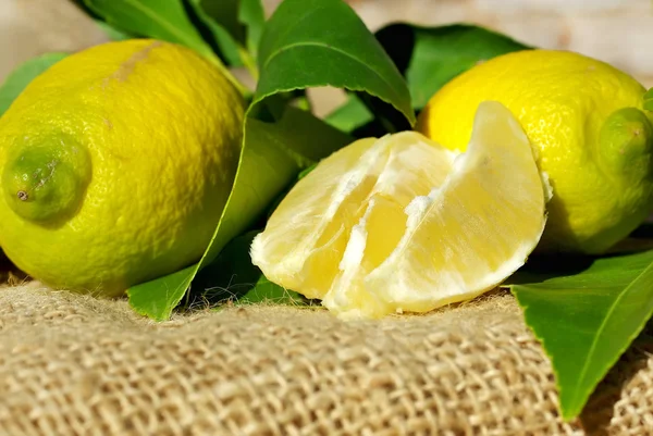 Limonlar ve dilimler. — Stok fotoğraf