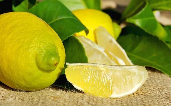 Зрелые лимоны и ломтики . — стоковое фото