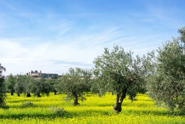 Alentejo bölgesinin manzarası, Portekiz.
