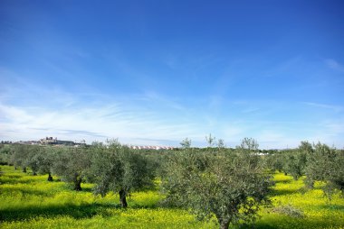 alentejo bölgesi, Portekiz, mourao köyü yakınlarında peyzaj.