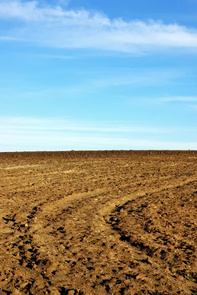 Tarım Alanı Mavi Gökyüzünün Dokusu — Stok fotoğraf