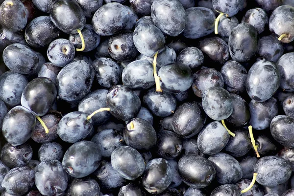 stock image Black olives background.