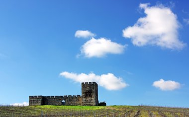 Valongo Kalesi, alentejo, Portekiz.