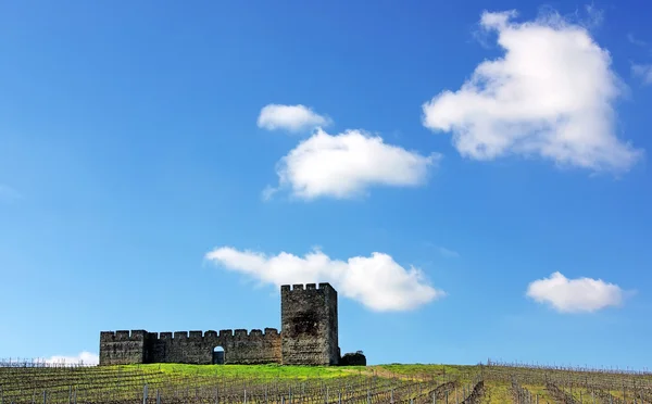 Замок Валонго, Алентежу, Португалия . — стоковое фото