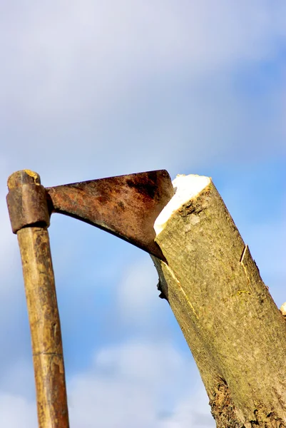 stock image Axe in a trunk.