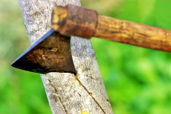 stock image Axe in a trunk.