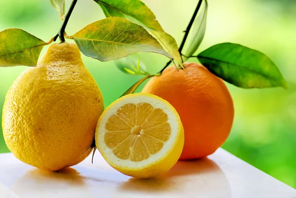 Sinaasappel- en citroenschijfje. — Stockfoto