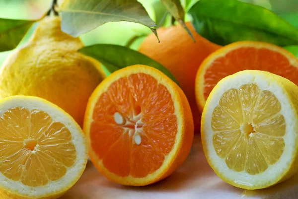 Narancs és citrom szelet. — Stock Fotó