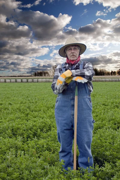 Portrait de fermier avec champ de foin — Photo