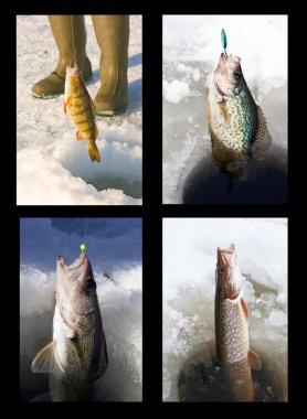 Ice fishing collage variety clipart