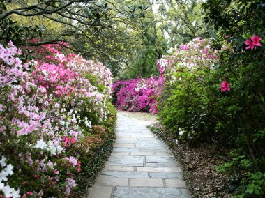 Brick garden path clipart