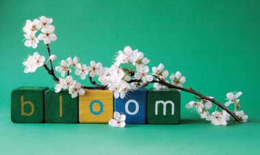 Bloom word with plum blossoms clipart