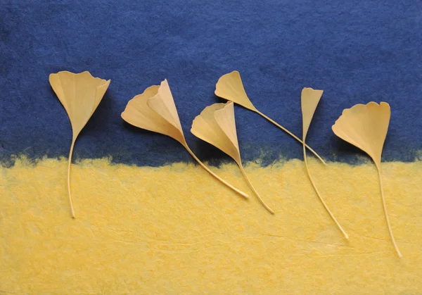 Ginkgo leaves on handmade paper — Stock Photo, Image