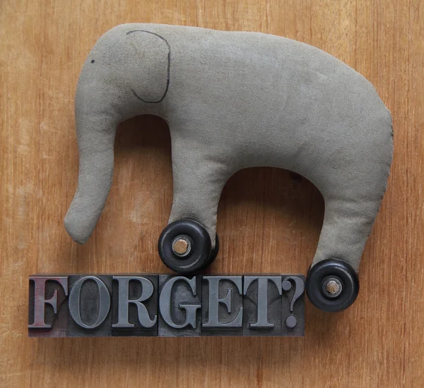 Forget word with old elephant toy — Stock Photo, Image