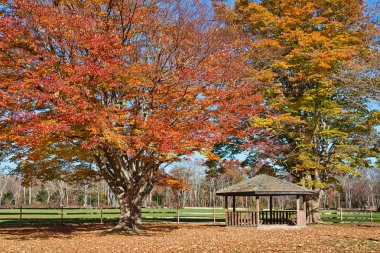 Gazebo in Autumn clipart