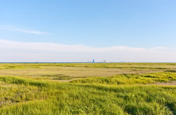 Atlantic City Skyline — Stock fotografie