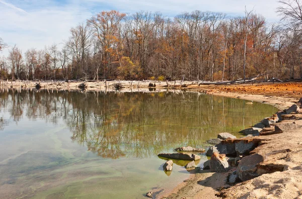 Ölü ağaçlar ve Gölü çevreleyen canlı ağaçlar — Stok fotoğraf