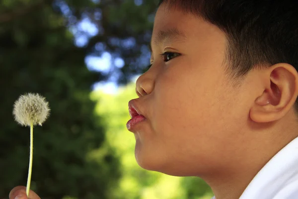 stock image Boy blowing dandelion